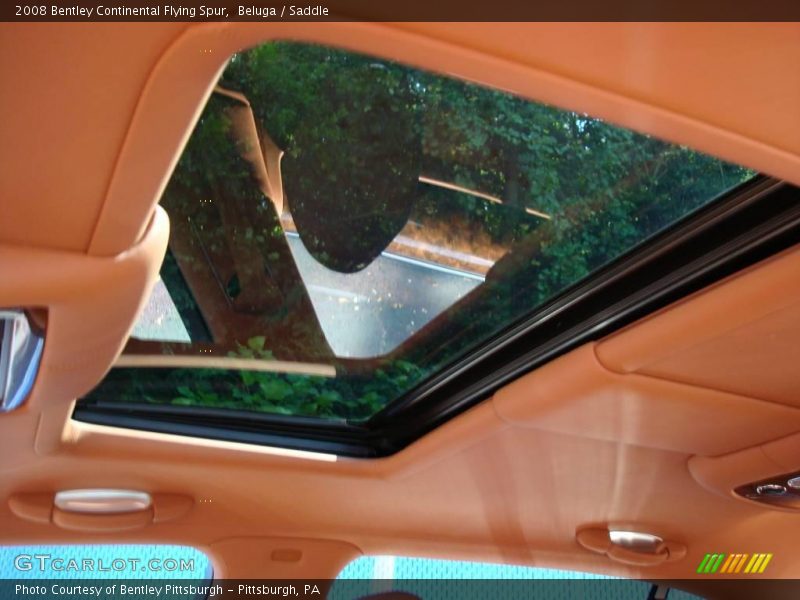 Beluga / Saddle 2008 Bentley Continental Flying Spur