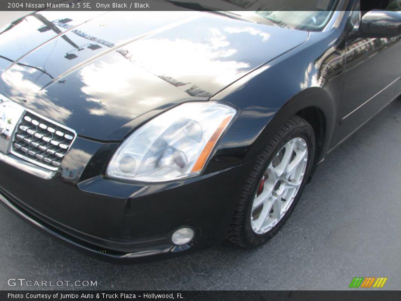 Onyx Black / Black 2004 Nissan Maxima 3.5 SE
