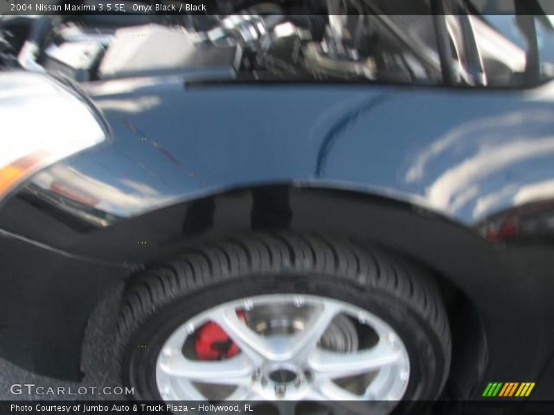 Onyx Black / Black 2004 Nissan Maxima 3.5 SE