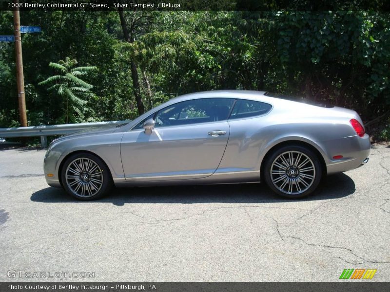 Silver Tempest / Beluga 2008 Bentley Continental GT Speed