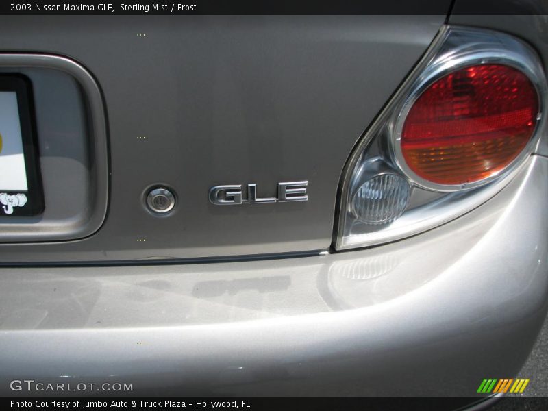 Sterling Mist / Frost 2003 Nissan Maxima GLE