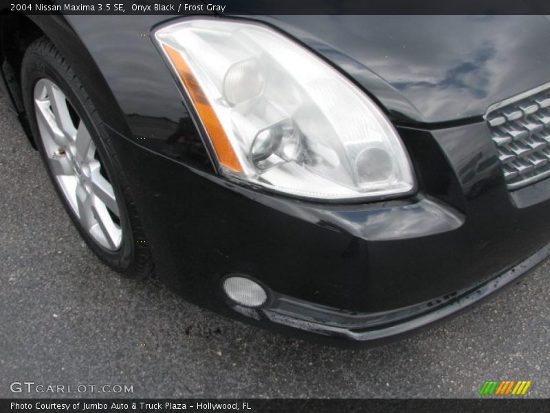 Onyx Black / Frost Gray 2004 Nissan Maxima 3.5 SE