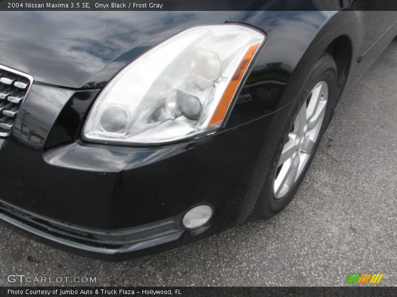 Onyx Black / Frost Gray 2004 Nissan Maxima 3.5 SE