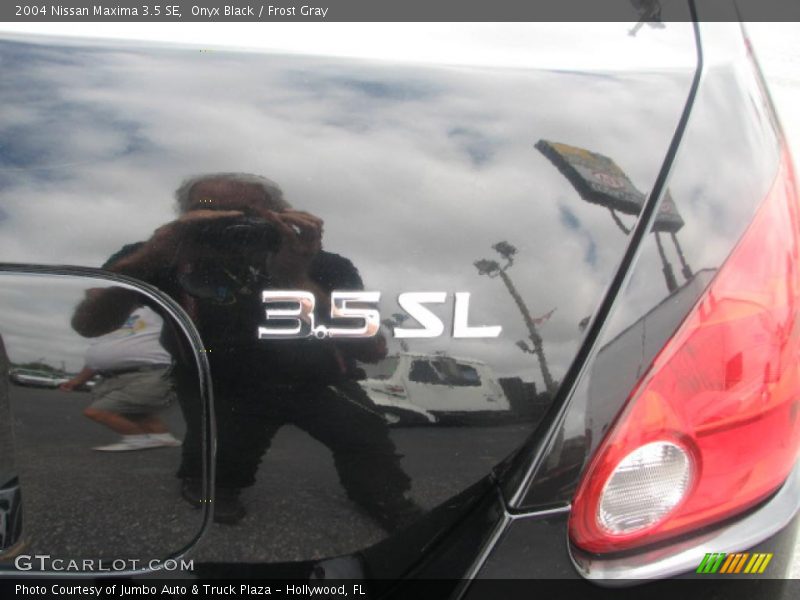 Onyx Black / Frost Gray 2004 Nissan Maxima 3.5 SE