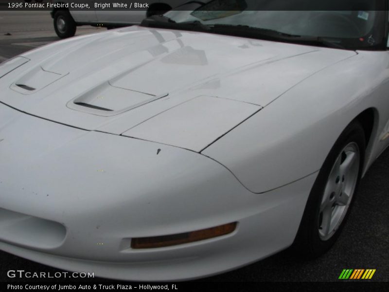 Bright White / Black 1996 Pontiac Firebird Coupe
