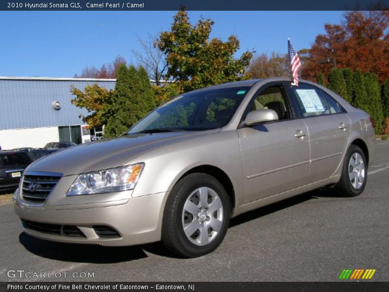 Camel Pearl / Camel 2010 Hyundai Sonata GLS
