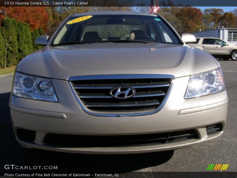 Camel Pearl / Camel 2010 Hyundai Sonata GLS