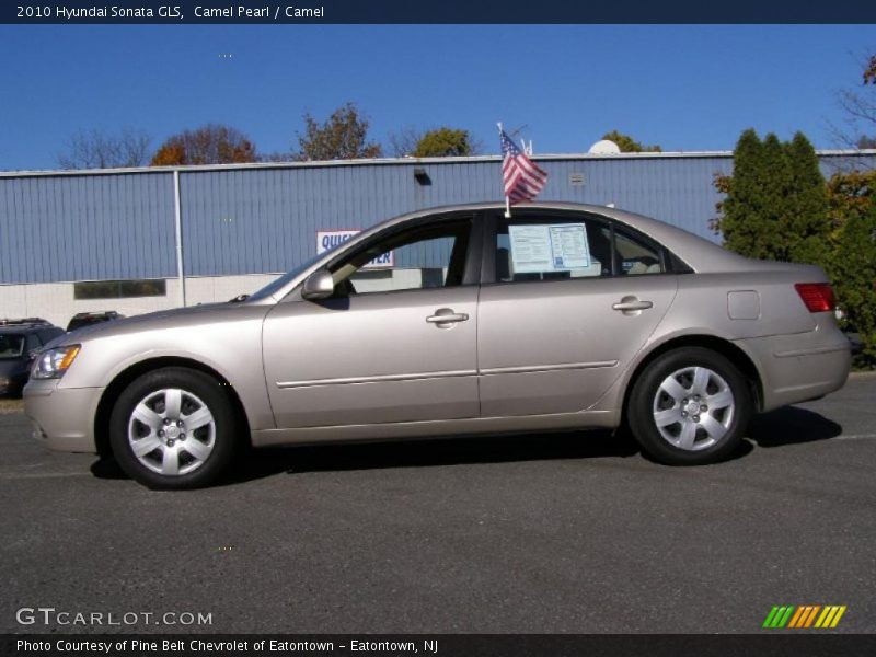 Camel Pearl / Camel 2010 Hyundai Sonata GLS