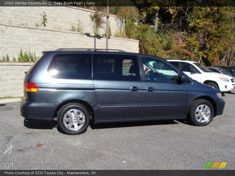 Sage Brush Pearl / Ivory 2003 Honda Odyssey EX-L