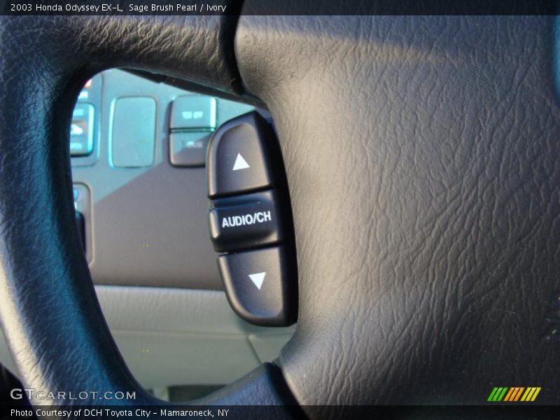 Sage Brush Pearl / Ivory 2003 Honda Odyssey EX-L