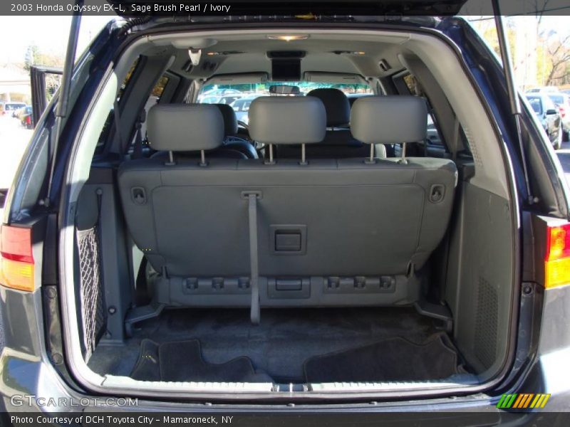 Sage Brush Pearl / Ivory 2003 Honda Odyssey EX-L