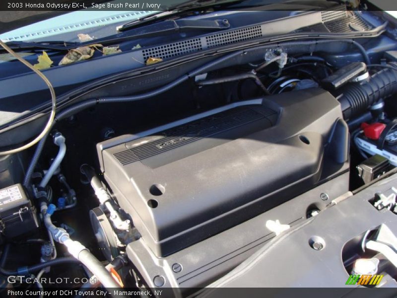 Sage Brush Pearl / Ivory 2003 Honda Odyssey EX-L