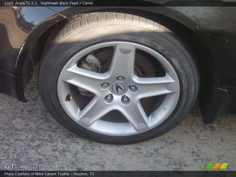 Nighthawk Black Pearl / Camel 2005 Acura TL 3.2