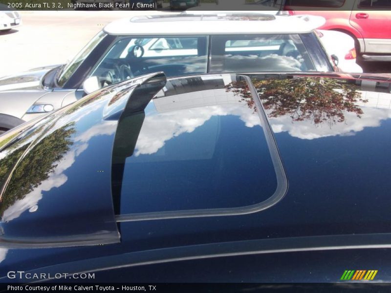 Nighthawk Black Pearl / Camel 2005 Acura TL 3.2