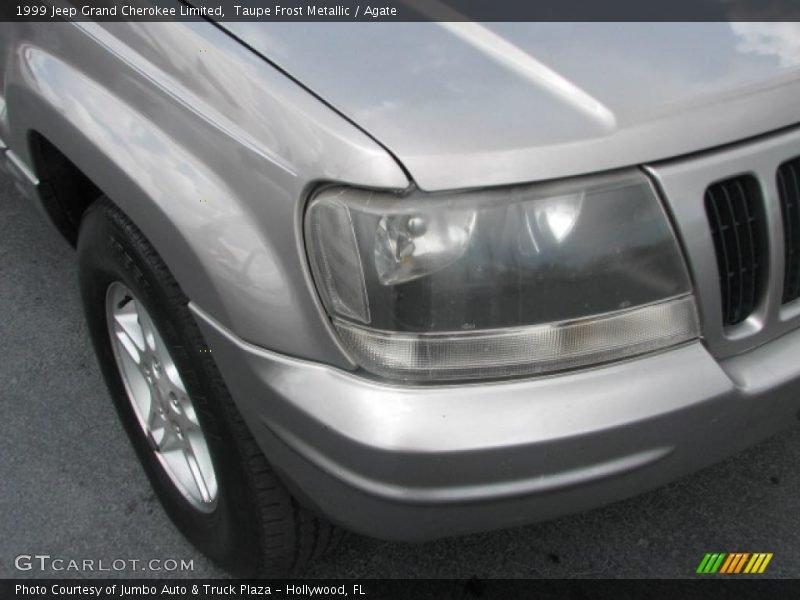 Taupe Frost Metallic / Agate 1999 Jeep Grand Cherokee Limited