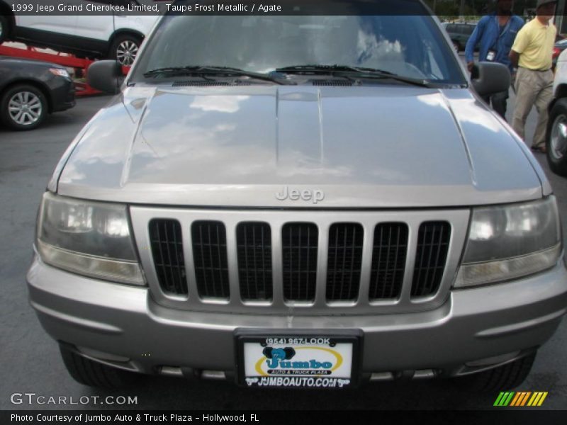 Taupe Frost Metallic / Agate 1999 Jeep Grand Cherokee Limited