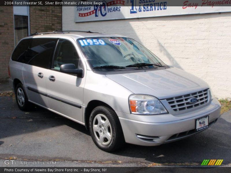 Silver Birch Metallic / Pebble Beige 2004 Ford Freestar SE