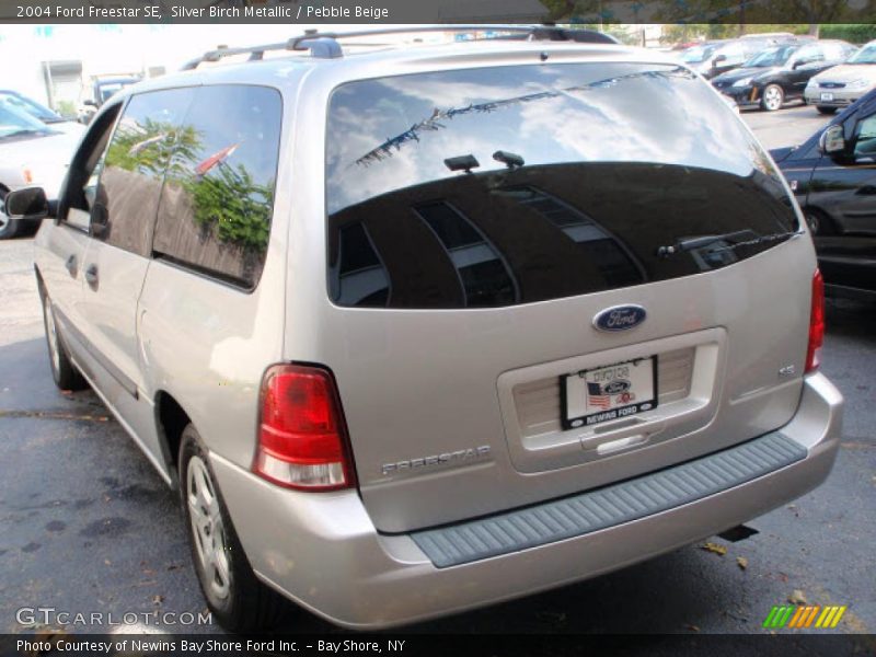 Silver Birch Metallic / Pebble Beige 2004 Ford Freestar SE