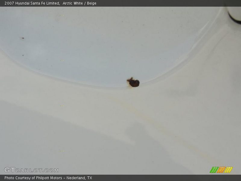 Arctic White / Beige 2007 Hyundai Santa Fe Limited