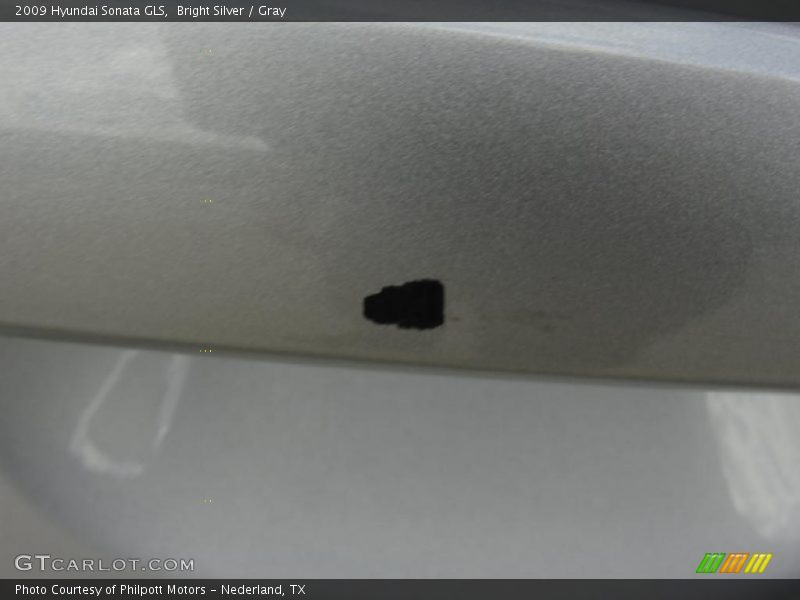 Bright Silver / Gray 2009 Hyundai Sonata GLS