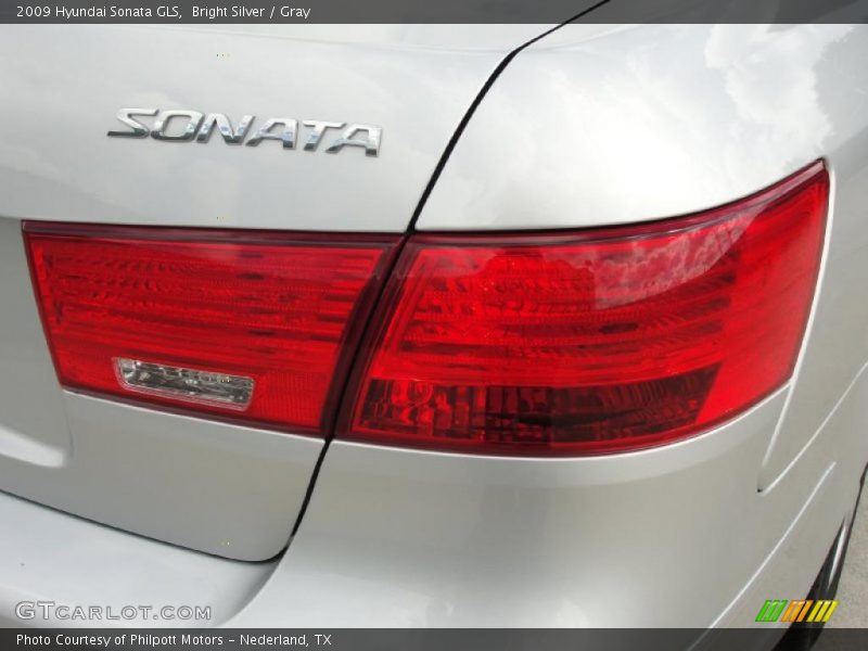 Bright Silver / Gray 2009 Hyundai Sonata GLS