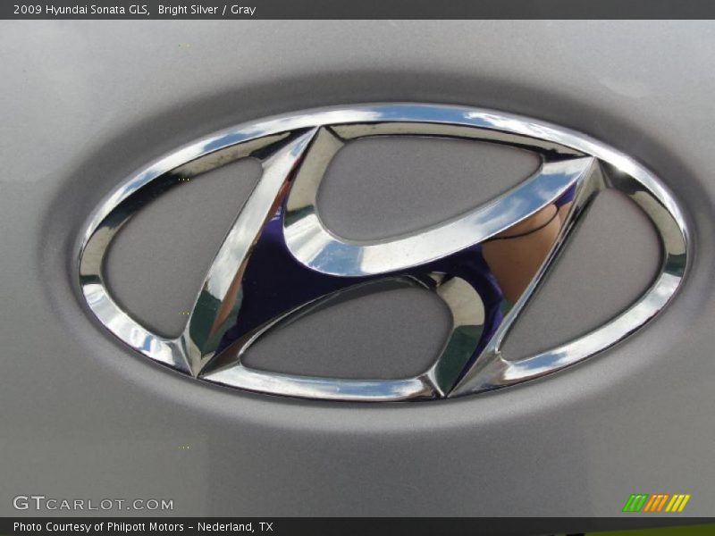 Bright Silver / Gray 2009 Hyundai Sonata GLS