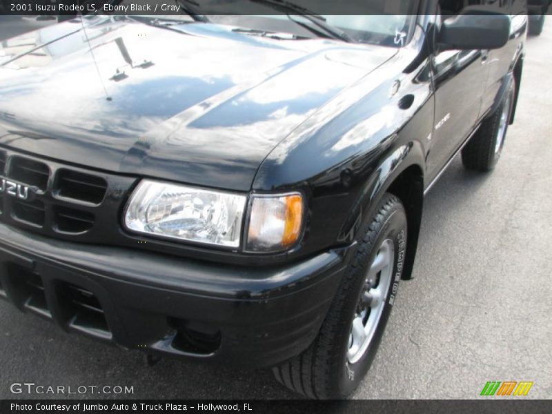 Ebony Black / Gray 2001 Isuzu Rodeo LS