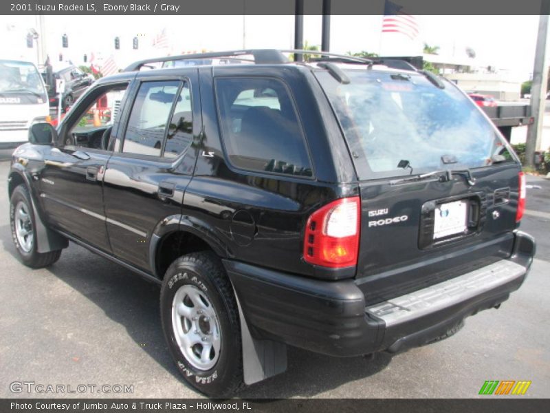 Ebony Black / Gray 2001 Isuzu Rodeo LS