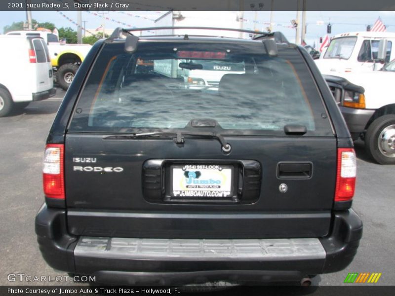 Ebony Black / Gray 2001 Isuzu Rodeo LS
