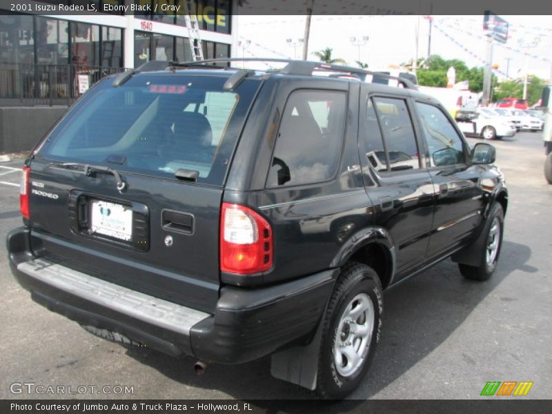 Ebony Black / Gray 2001 Isuzu Rodeo LS