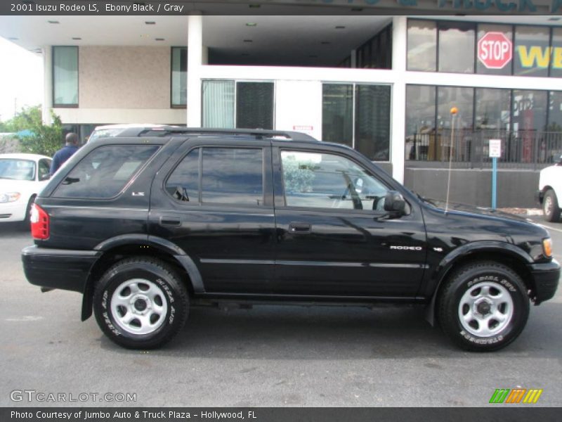 Ebony Black / Gray 2001 Isuzu Rodeo LS