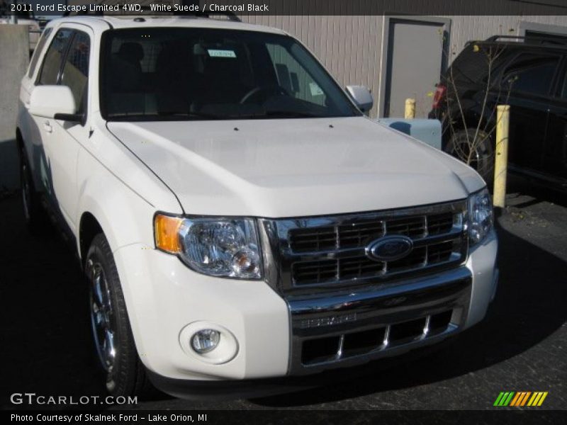 White Suede / Charcoal Black 2011 Ford Escape Limited 4WD