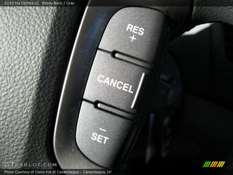 Ebony Black / Gray 2010 Kia Optima LX