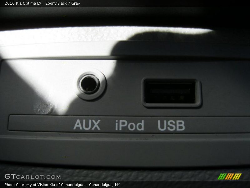 Ebony Black / Gray 2010 Kia Optima LX