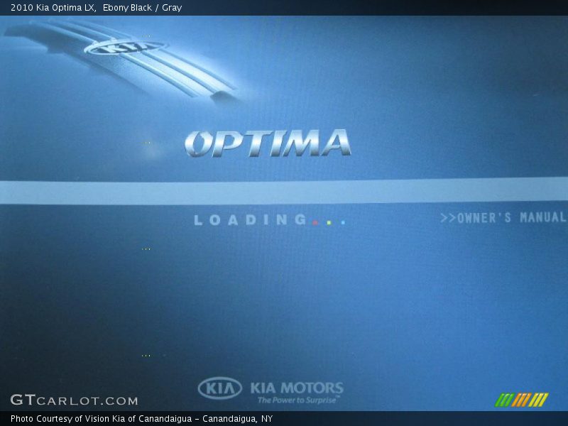 Ebony Black / Gray 2010 Kia Optima LX