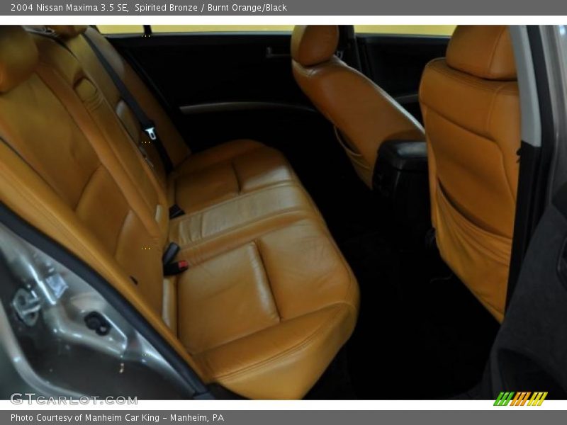 Spirited Bronze / Burnt Orange/Black 2004 Nissan Maxima 3.5 SE