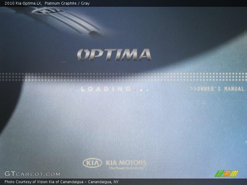 Platinum Graphite / Gray 2010 Kia Optima LX