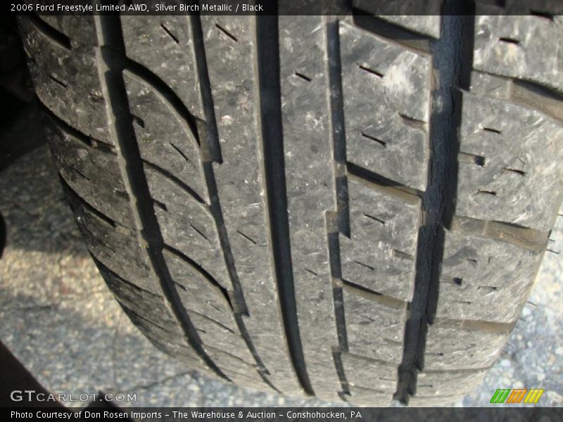 Silver Birch Metallic / Black 2006 Ford Freestyle Limited AWD