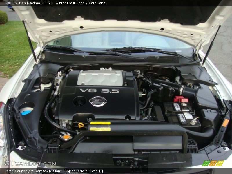 Winter Frost Pearl / Cafe Latte 2008 Nissan Maxima 3.5 SE
