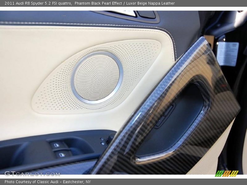 Door Panel of 2011 R8 Spyder 5.2 FSI quattro