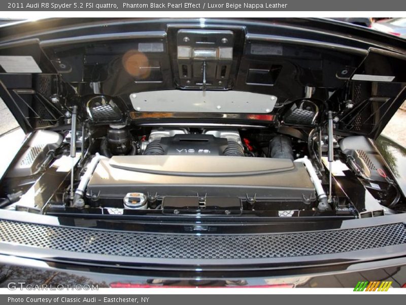  2011 R8 Spyder 5.2 FSI quattro Engine - 5.2 Liter FSI DOHC 40-Valve VVT V10
