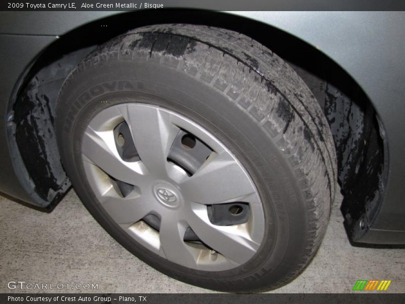 Aloe Green Metallic / Bisque 2009 Toyota Camry LE