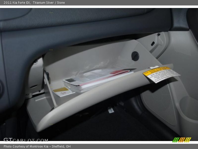 Titanium Silver / Stone 2011 Kia Forte EX