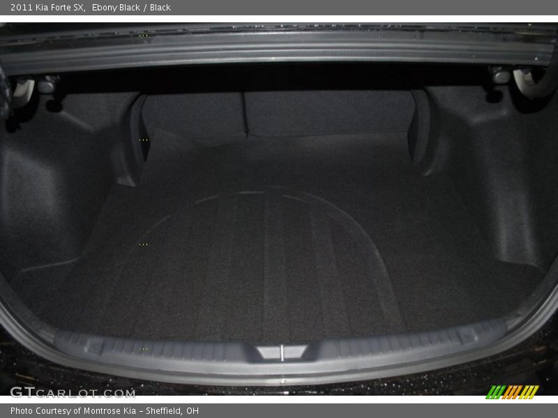  2011 Forte SX Trunk