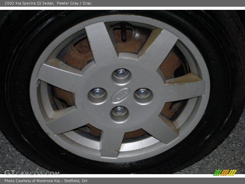 Pewter Gray / Gray 2002 Kia Spectra GS Sedan