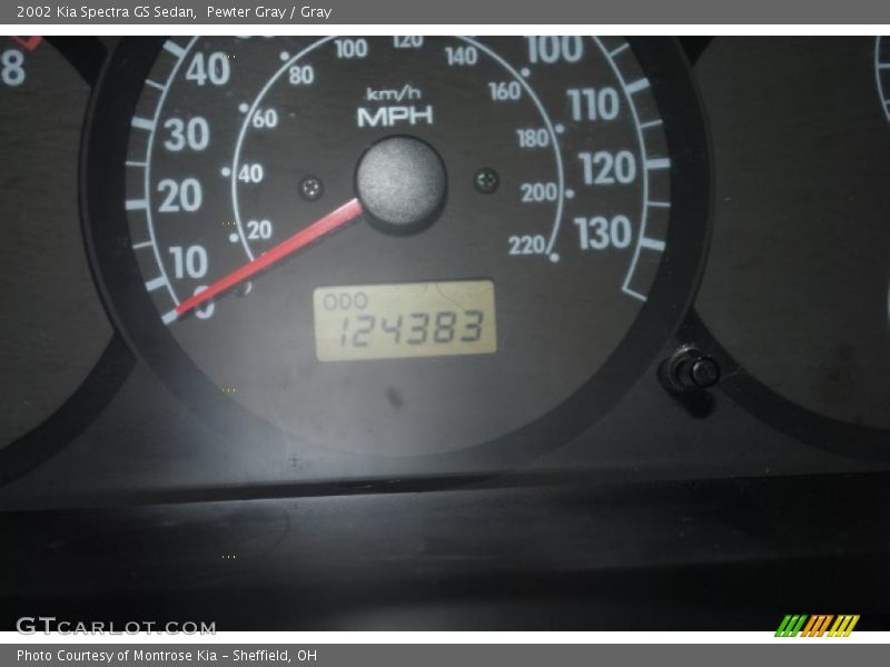 Pewter Gray / Gray 2002 Kia Spectra GS Sedan