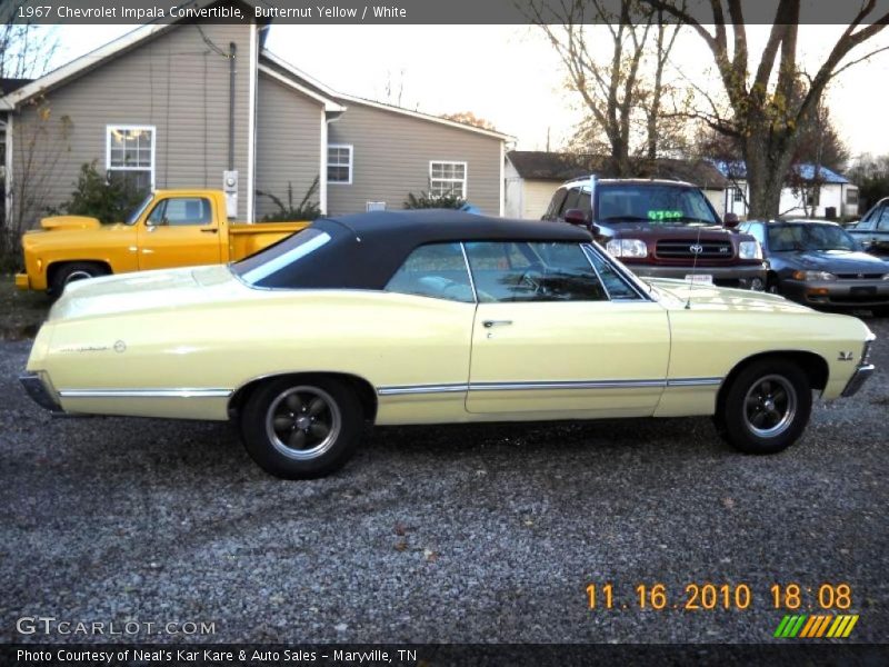 Butternut Yellow / White 1967 Chevrolet Impala Convertible