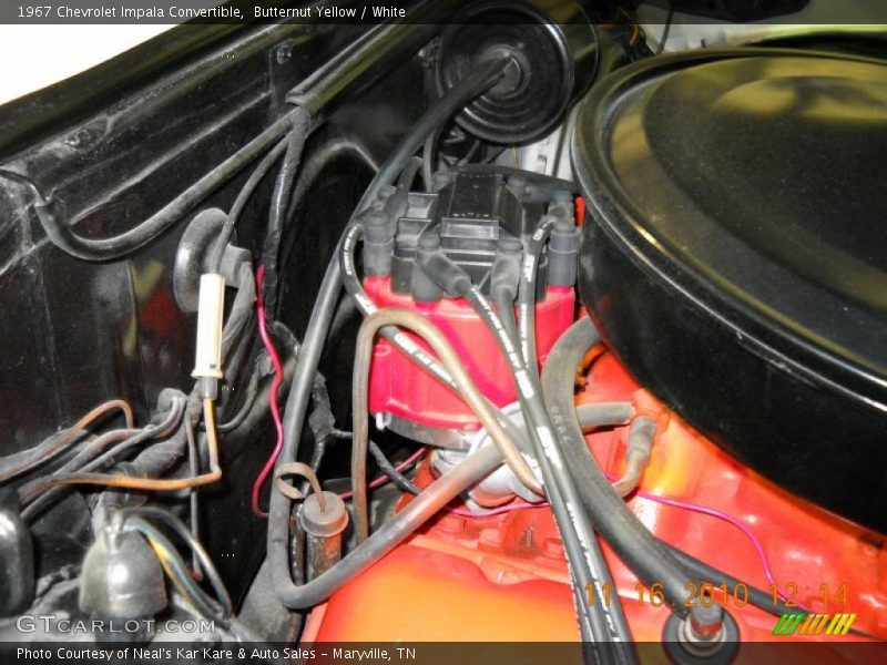 Butternut Yellow / White 1967 Chevrolet Impala Convertible