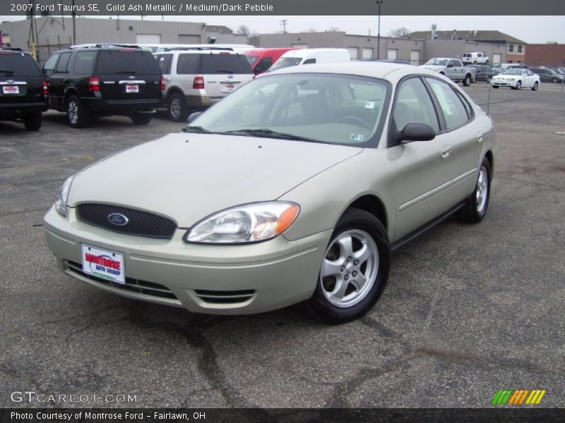 Gold Ash Metallic / Medium/Dark Pebble 2007 Ford Taurus SE