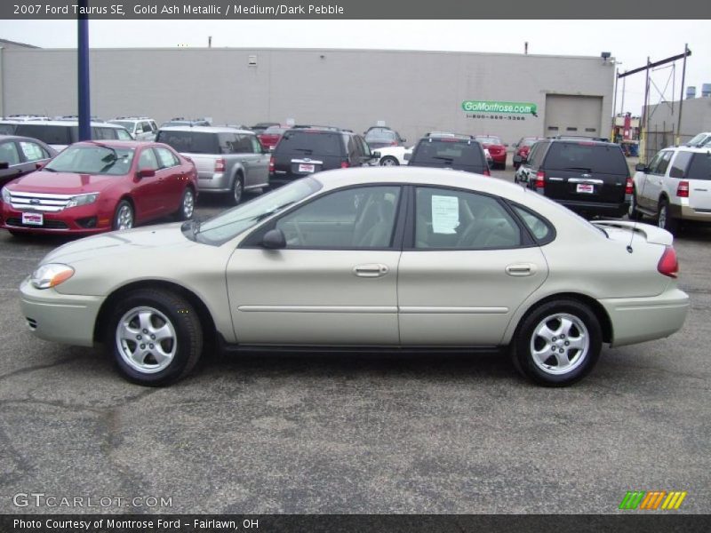 Gold Ash Metallic / Medium/Dark Pebble 2007 Ford Taurus SE